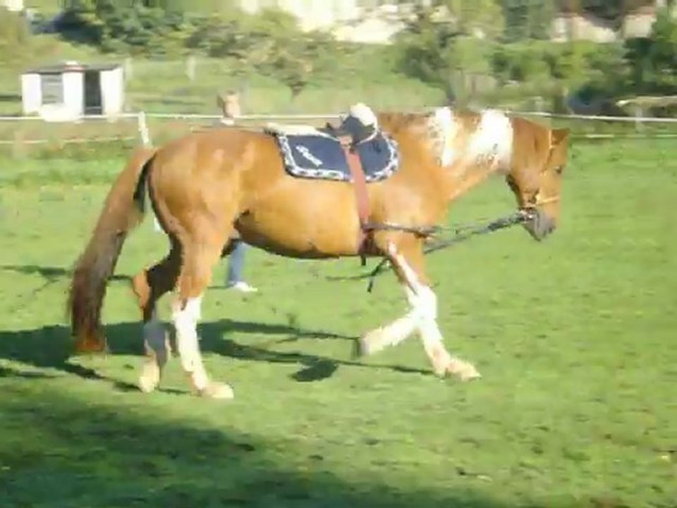 prince en longe
