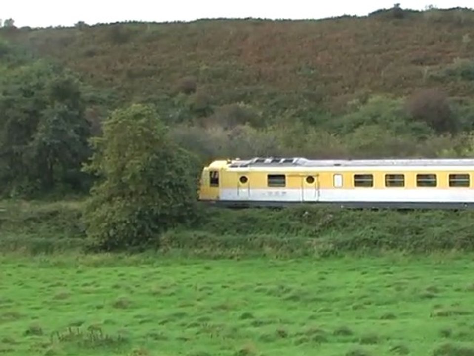 RGP