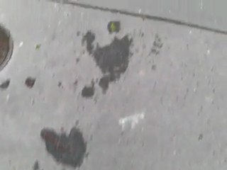 les îles sous le pied