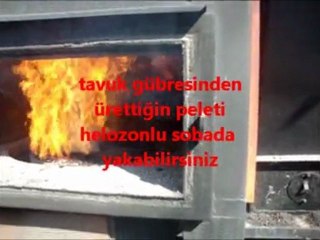 tavuk gübresinden pelet üretimi