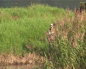 Ogólnopolskie zawody spinningowe grand prix polski
