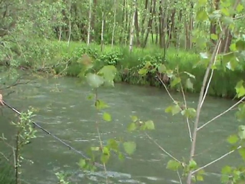 Küçük veya ihtiyaç fazlası ise suyuna iade edelim (aman dikkat:-))