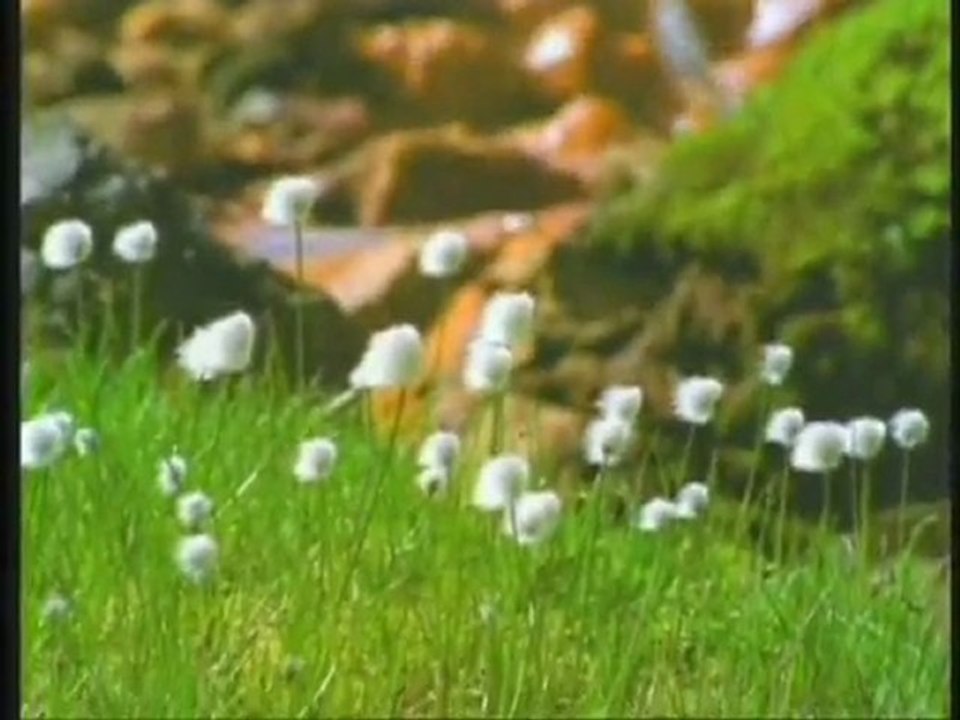 Harun Yahya TV - The names of Allah- Al-Walee (The Protector)