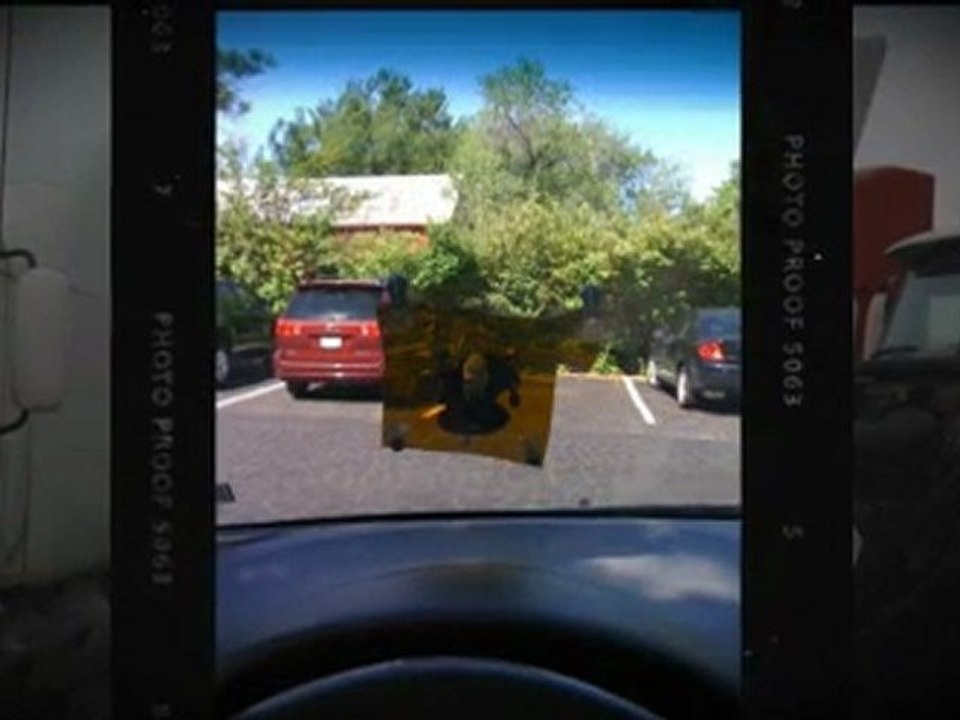 08731 auto glass