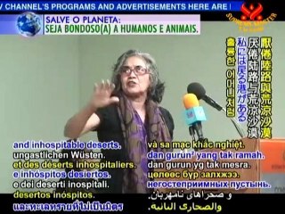 The Verses of Fine Dominican Republic Poets (In Spanish)