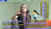 The Verses of Fine Dominican Republic Poets (In Spanish)