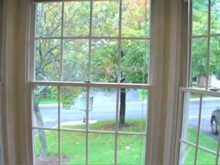 31 Mayapple Dr Downingtown PA