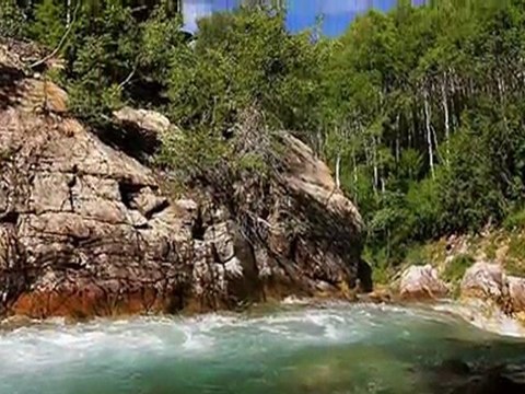 TSM İle Terapi (18) Keyif Hayatın Kaynağı (Keman)