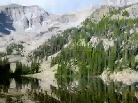 TSM İle Terapi (19) Keyif İç Huzuru (Keman)