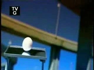 Eggs = How It's Made?