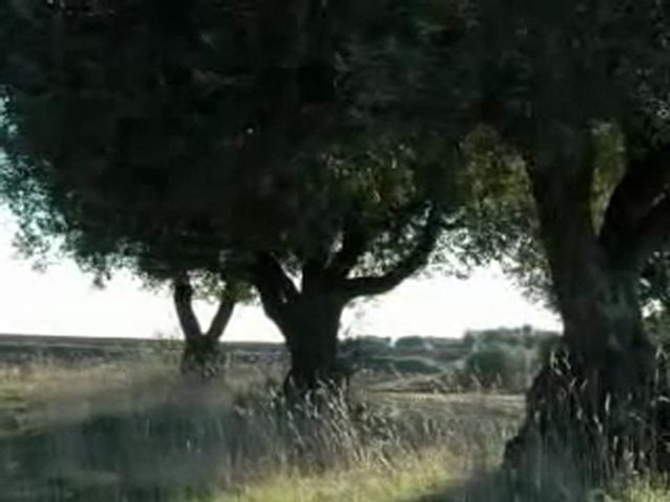 Fausto Papetti  - Um Homem e Uma Mulher