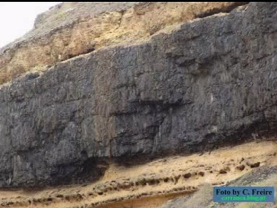 Eduardo Paim - Bartolomeu