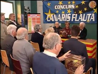 Plats bruts - Tinc piu-piu