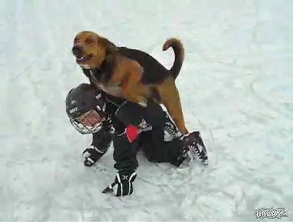 Hund besitzt Little Ice Skater