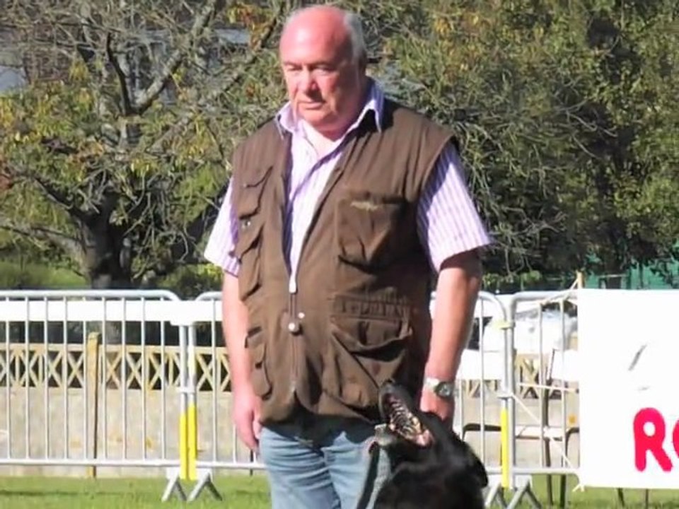 Caudry : 69 chiens présents pour le concours canin