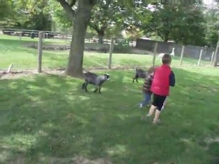 Licas in Canada_2011_2