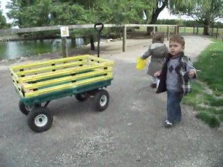 Licas in Canada_2011_5