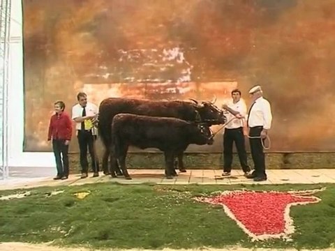 Concours Salers à la Grande Halle d’Auvergne