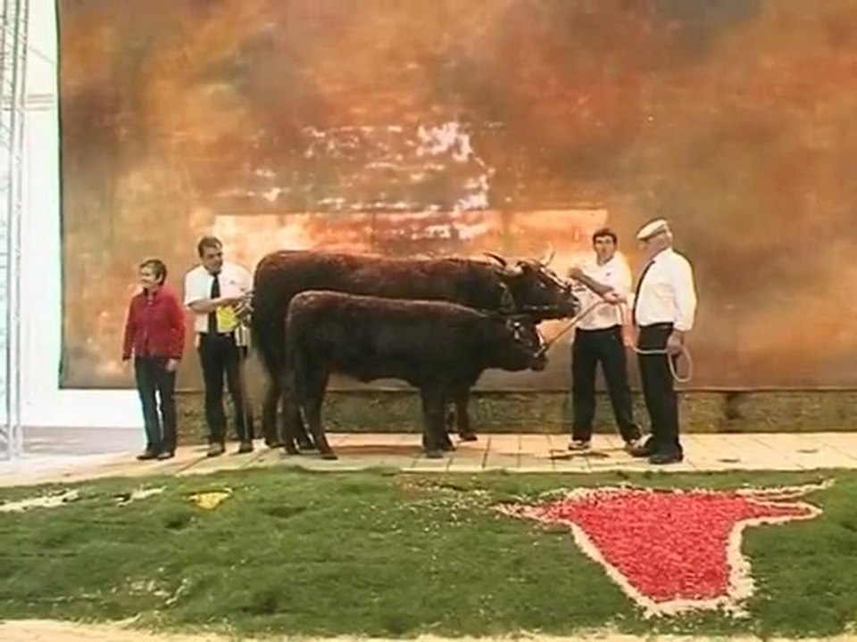 Concours Salers à la Grande Halle d’Auvergne