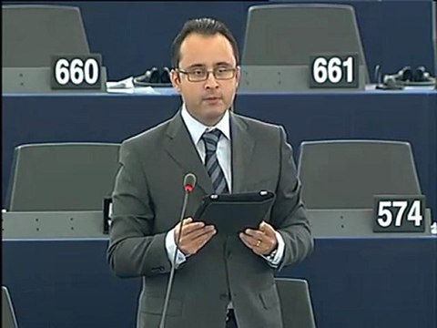 Cristian Silviu Buşoi on energy-intensive industries