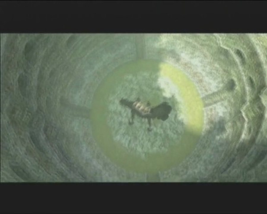 Shadow of the colossus 8) Ya pas de lézard