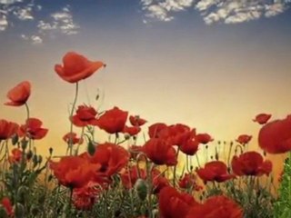 AMIKOR  VÉGET  ÉR  EGY  ÁLOM