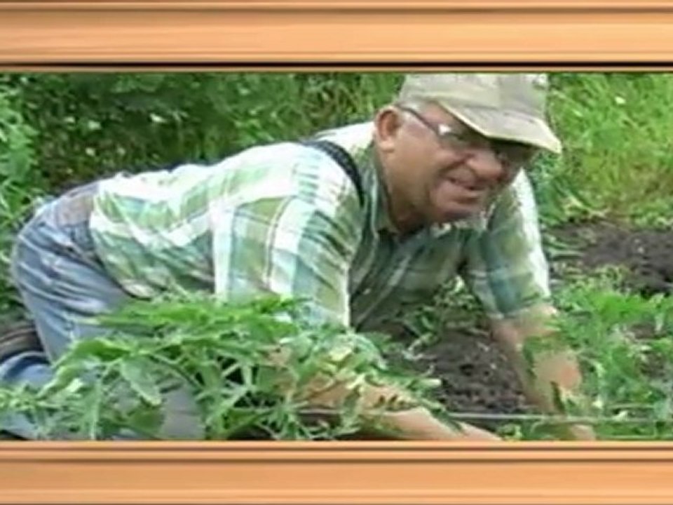 Histoires sans parole