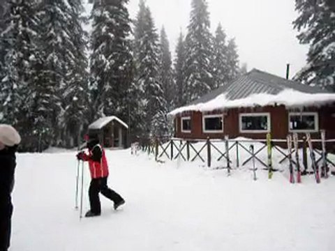 Folklorik Tur Ilgaz Videosu ve Görseli