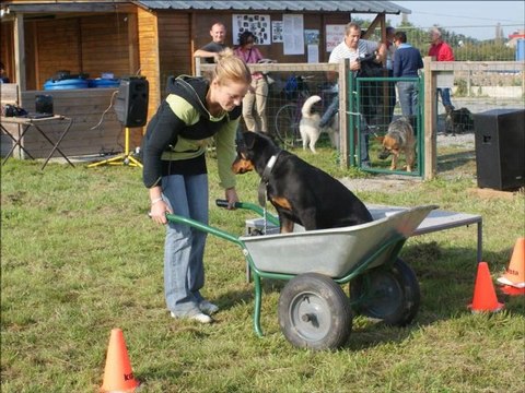 Fête du club et journée portes ouvertes 2011