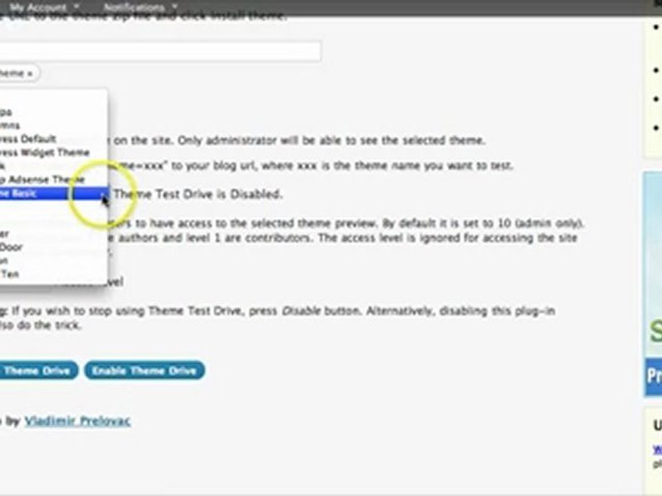 Wordpress Tutorial-How to test WP theme
