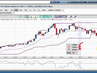 Do You See the Trees In a Forest, Or Do You Just See ...
