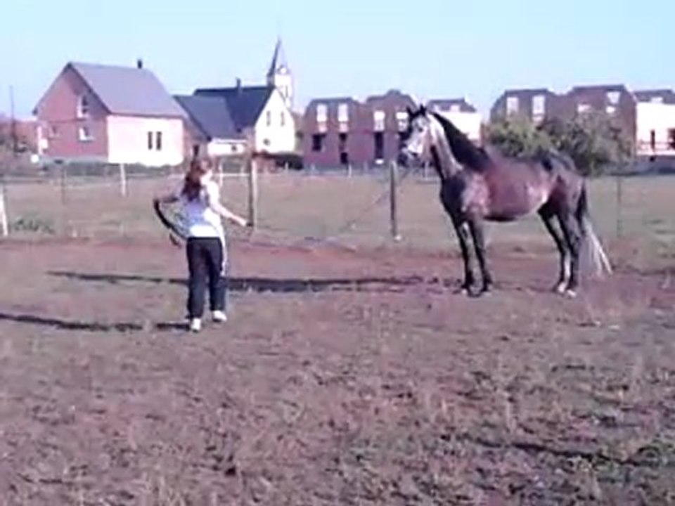 Joc première fois en longe