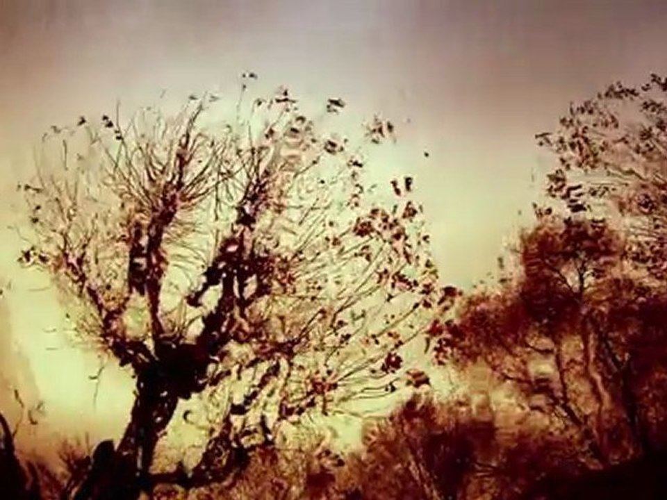 THE SUICIDE OF WESTERN CULTURE REMIXES ALBUM