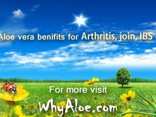 Allergies Asthma Cold Flu