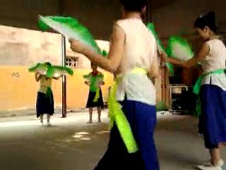 Video0051