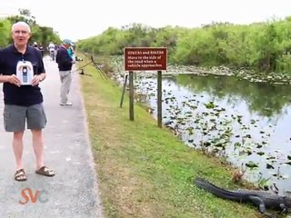 Senior Value Cell - In touch wherever you go