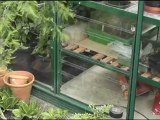 Greenhouses have A Variety Of Uses In Growing Vegetables