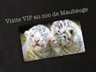 Inoubliable visite VIP du zoo de Maubeuge