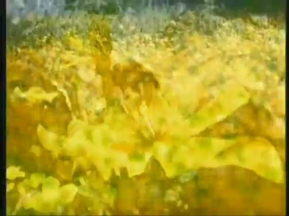 Harun Yahya TV - The names of Allah- At-Tawwab (The Acceptor of Repentance)