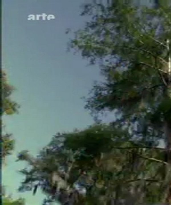 Jurassic Fight Club (Le dinosaure canibale)