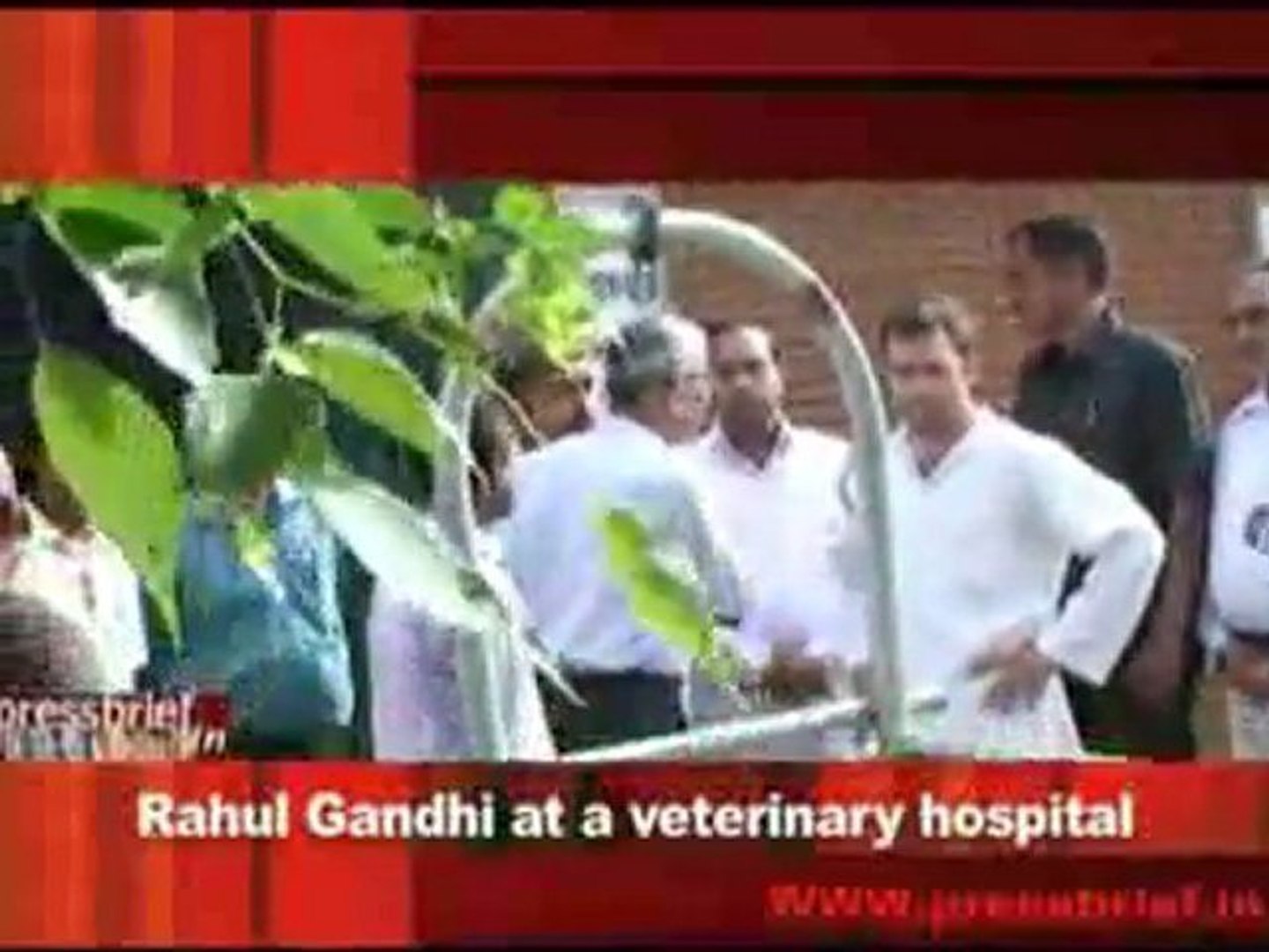 ⁣Rahul Gandhi at a veterinary hospital