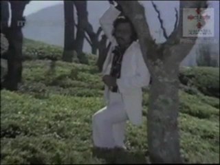 Iru Paravaigal (Pathos)- Niram Maratha Pookkal