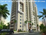 Emaar MGF Palm Gardens +91 9811 999 666 Palm Garden Sector 83 Gurgaon