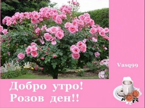 Добро утро!!