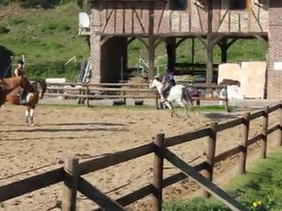 Qualin obstacle
