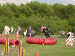 Brownie - Jumping Aubagne 25.09.11