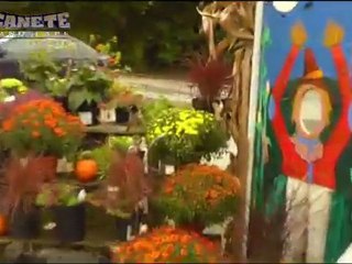 Wayne NJ Garden Center -Canete all dressed up for the holidays- Autumn -Halloween 973-616-5296