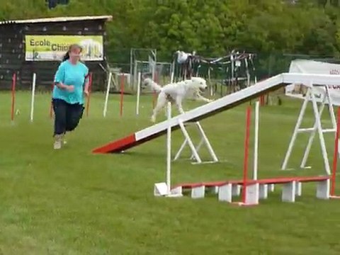 Daisy - GPF Aubagne 25.09.11