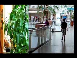 Franchise Your Business | What is a Franchise?