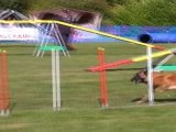 2011 - Djuna St Nazaire Agility